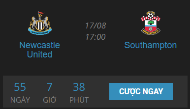 match newcastle vs soutampton